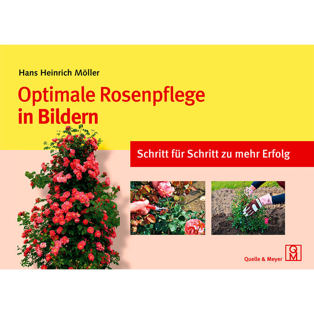 Buch Optimale Rosenpflege in Bildern kaufen | Ahrens+Sieberz ...