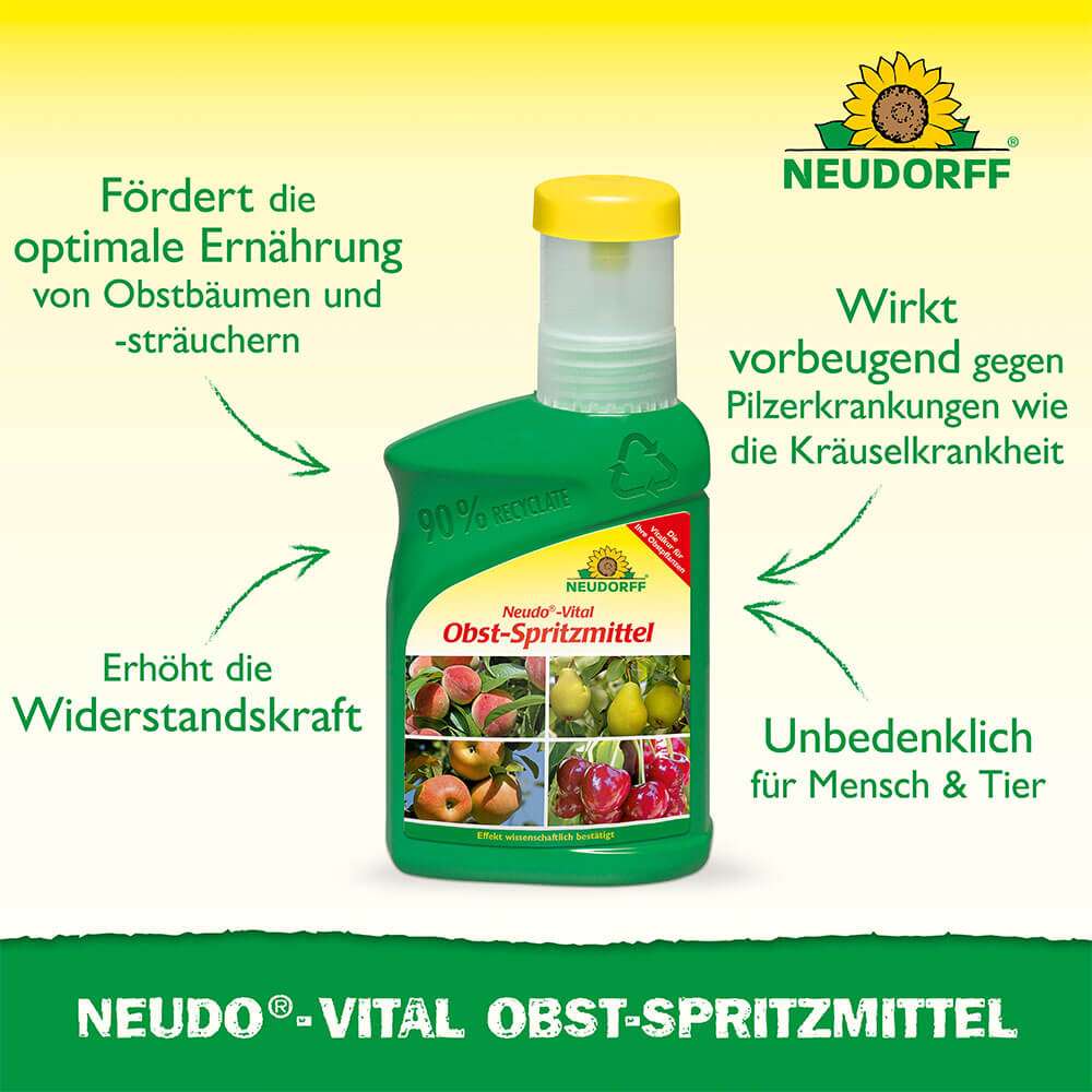 taxus nachbildung 347 Arbeitsplatte Taxus Nachbildung