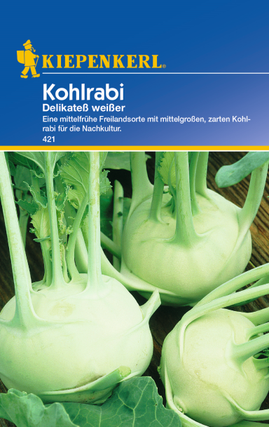 Kohlrabi 'Delikateß weißer'