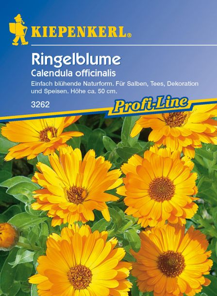 Ringelblumen für Tee und Salben