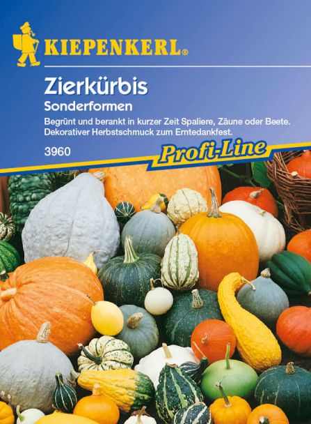 Zierkürbis 'Sonderformen'