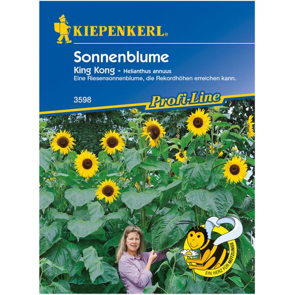 Riesen-Sonnenblumen 'King Kong'