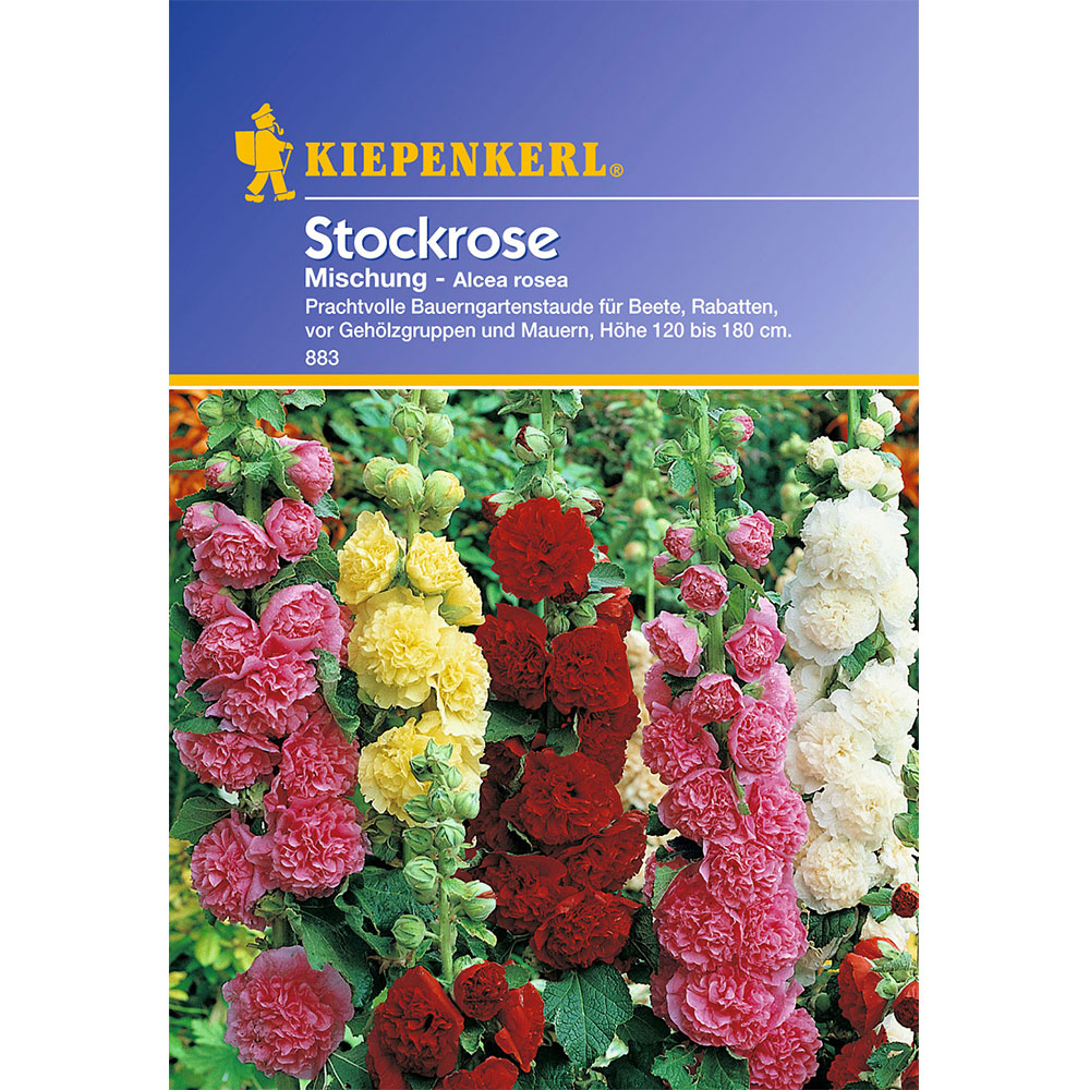 Stockrosen 'Mischung' Mehrjährige Blumen Blumensamen Balkon