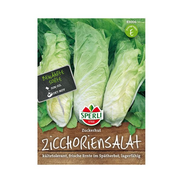 Zichoriensalat 'Zuckerhut'