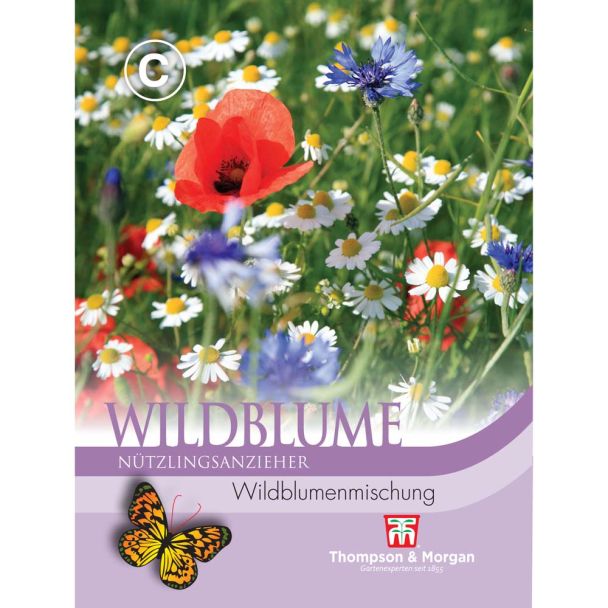 Wildblume Wildblumenmischung