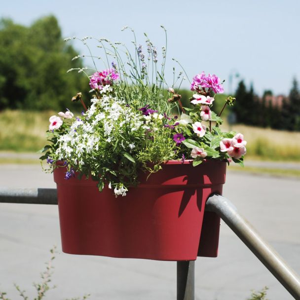Flowerclip XL, 2er Set, brombeer