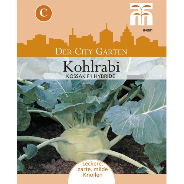Kohlrabi Kossak