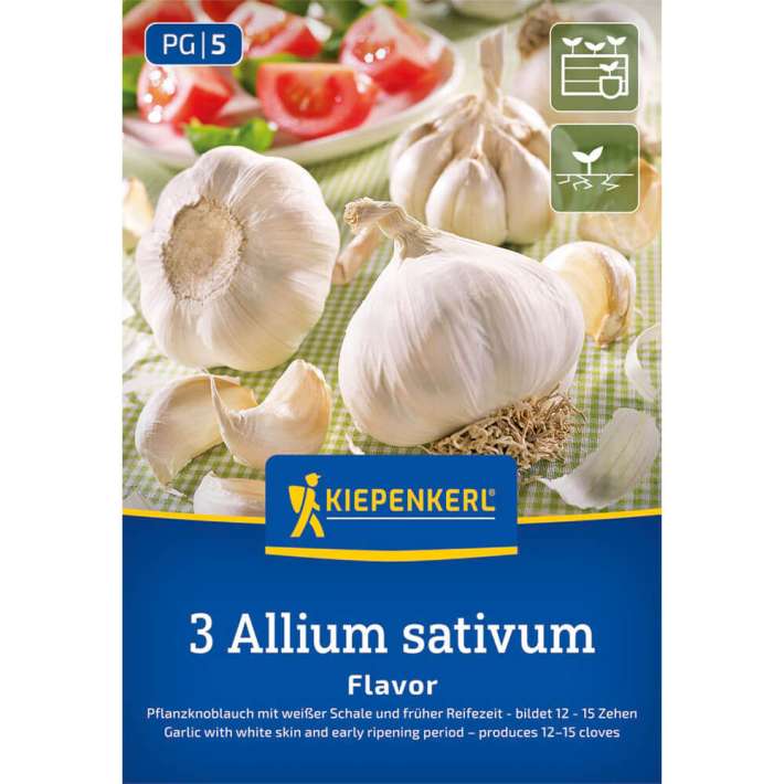 Kiepenkerl Knoblauch 'Flavor' kaufen | Ahrens+Sieberz - Pflanzenversand &  Gartenbedarf