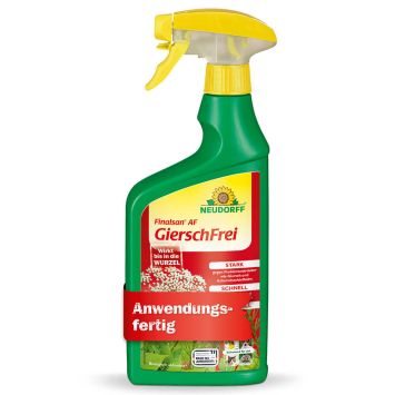 Finalsan® AF 'GierschFrei', 750 ml (1 L / € 23,99)