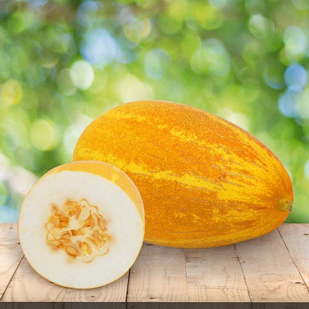Gurmelo Melonen-Gurke