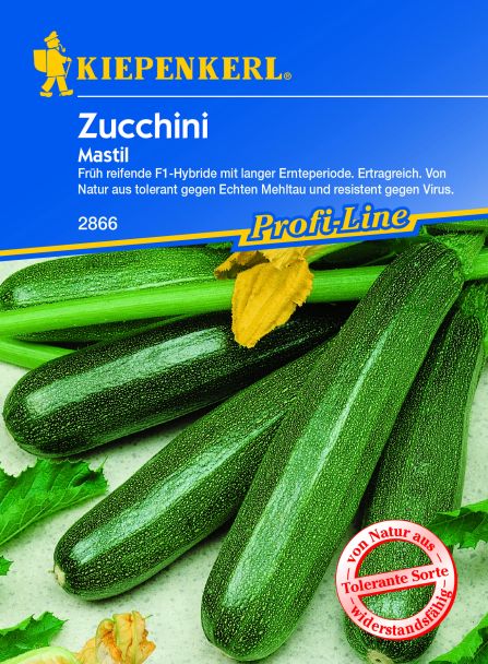Zucchini 'Mastil F 1'