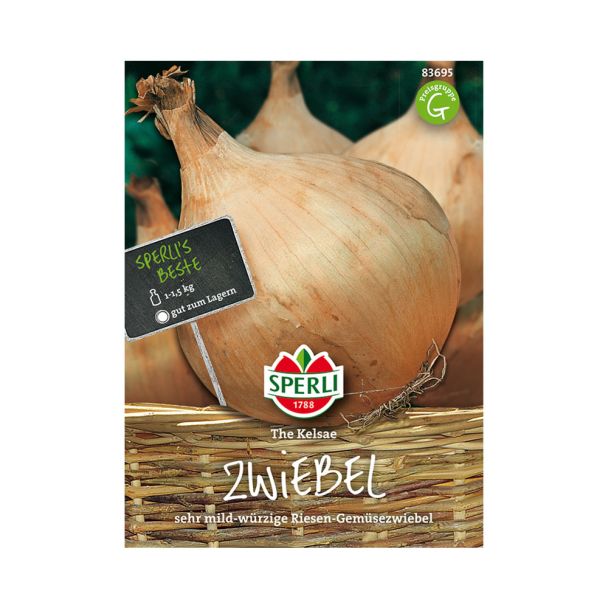Riesen-Zwiebel 'The Kelsae'