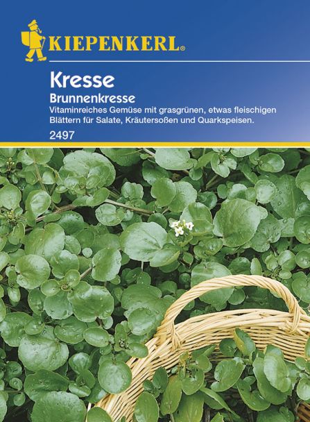 Brunnenkresse 'Kresse'