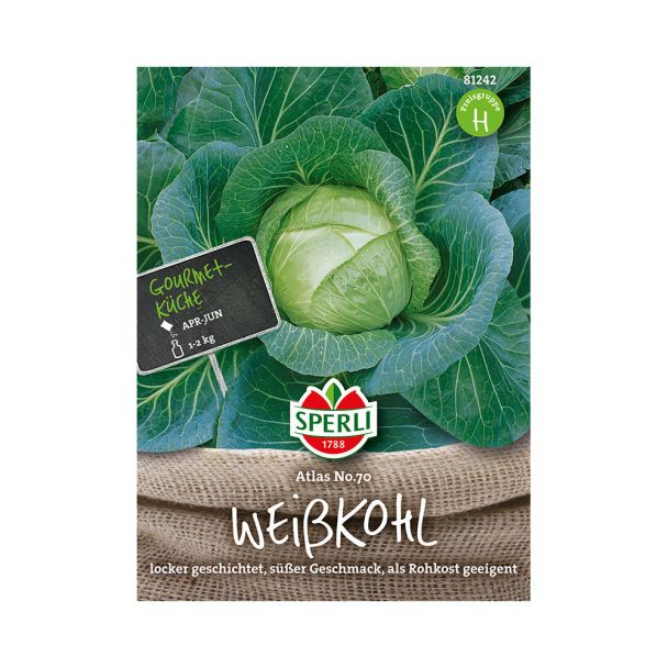 Weißkohl 'Atlas No. 70'