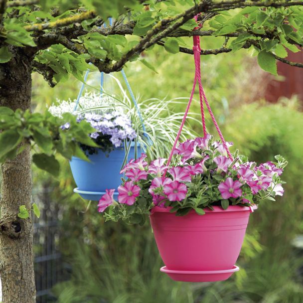 Hängeampel 'Galicia', pink