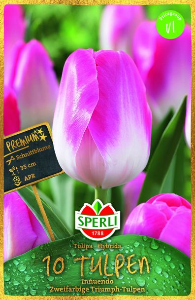Sperli Premium Triumph Tulpen Innuendo