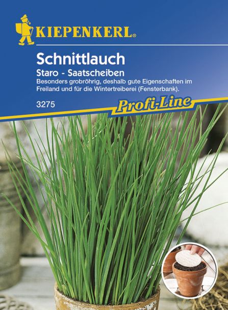 Schnittlauch 'Staro' (Saatscheiben)