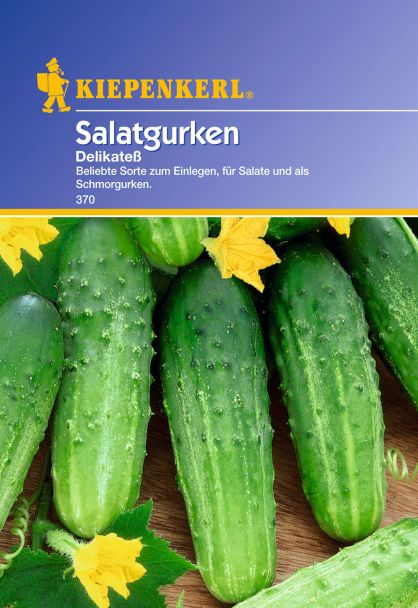 Gurken (Salatgurken) 'Delikateß'