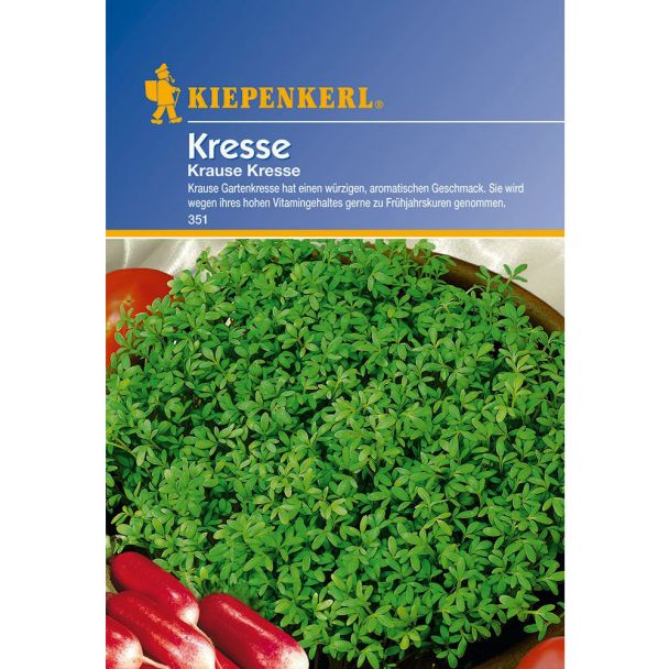 Kresse 'Krause Kresse'