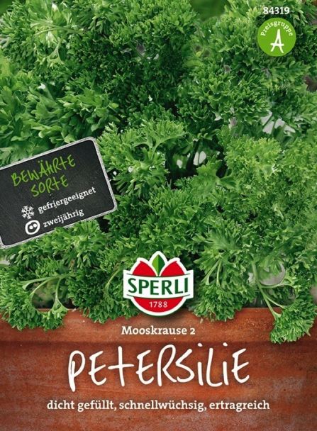 Sperli Petersilie 'Mooskrause 2'