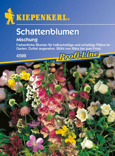 Schattenblumen 'Mischung'
