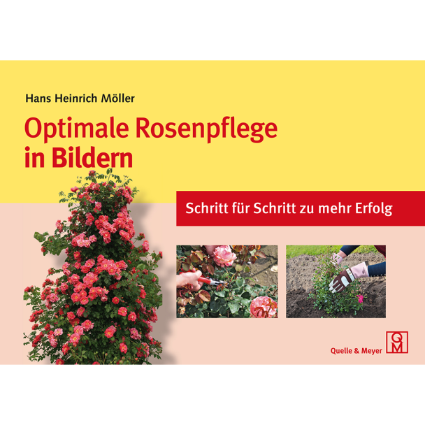 Optimale Rosenpflege in Bildern - Schritt für Schritt zu mehr Erfolg