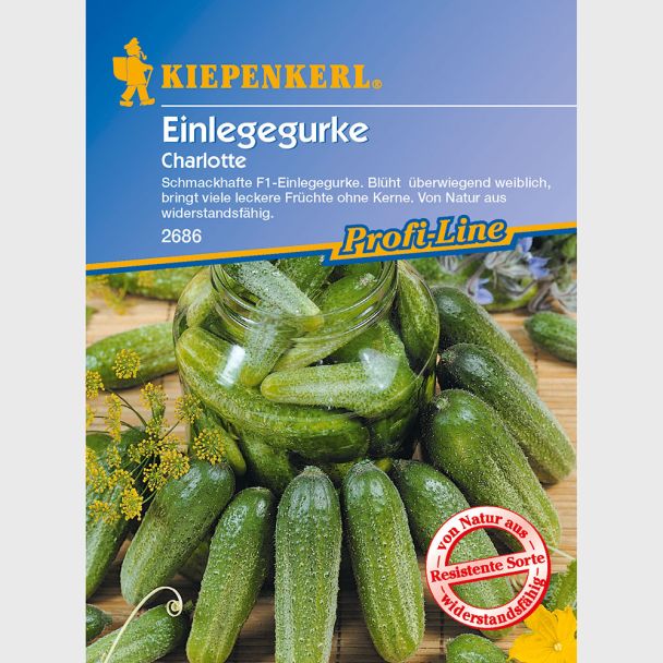 Einlege- / Essiggurke 'Charlotte' F1