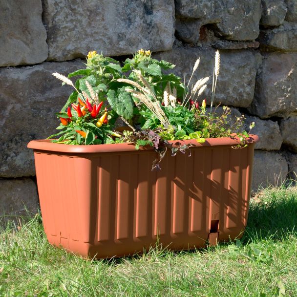 Pflanzkasten Ambizioso mit Rollen Terracotta 65x35x33 cm