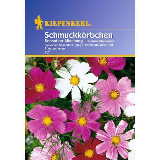 Schmuckkörbchen 'Sensation-Mischung'