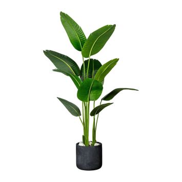 Kunstpflanze Strelitzia nicolai (ca. 160 cm)