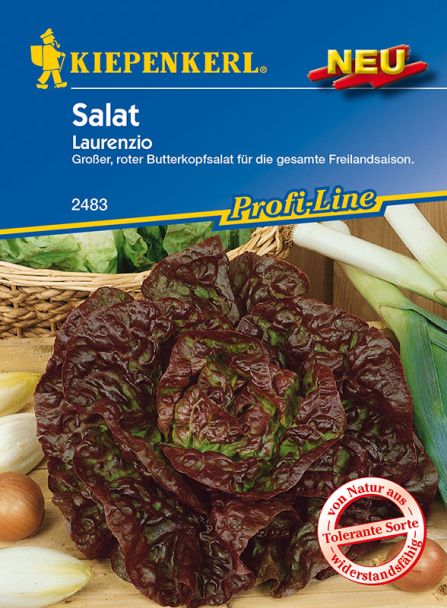 Salat 'Laurenzio'