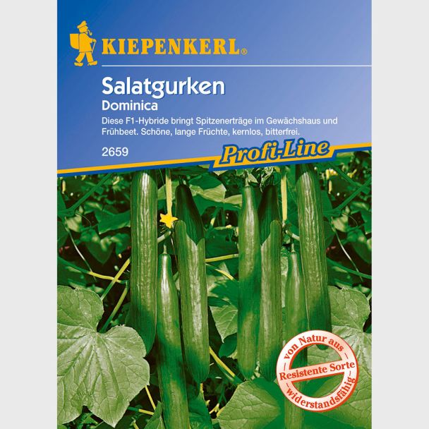 Schlangengurke 'Dominica' F1