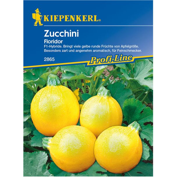 Zucchini 'Floridor'