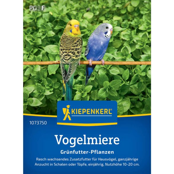 Vogelmiersamen Frischgrün-Futter