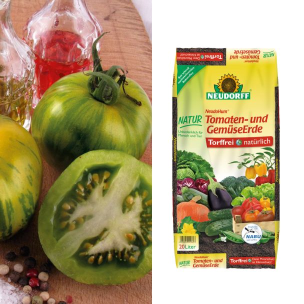 Sparangebot: 2 x 'Wild Horse' - grüngelbe Wildtomate + 1 x Erde