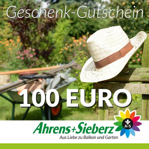 Geschenk-Gutschein, Wert 100 Euro Hut