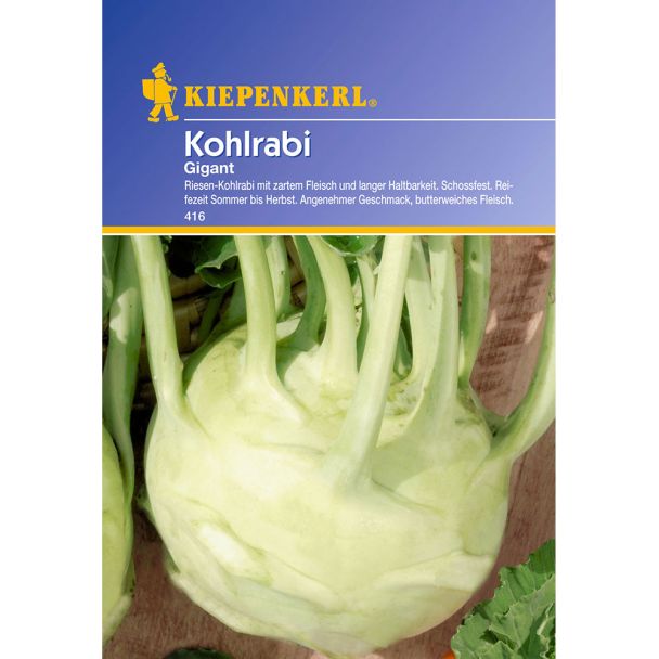 Kohlrabi 'Gigant'