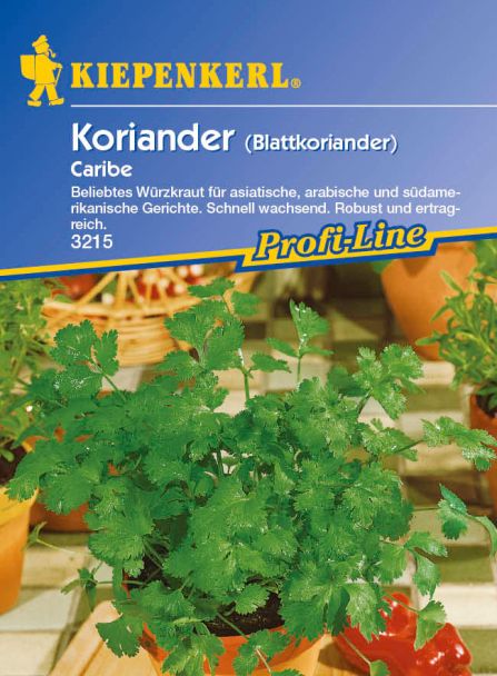 Koriander 'Caribe'