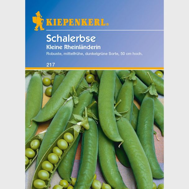 Schalerbsen 'Kleine Rheinländerin'