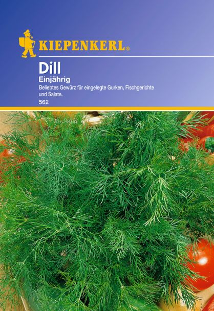 Dill 'Einjährig'