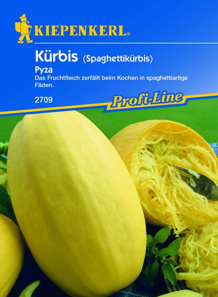 Kürbis 'Pyza'