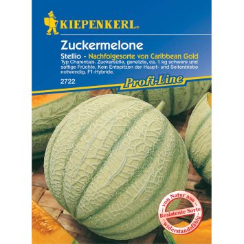 Zuckermelone 'Stellio F1'