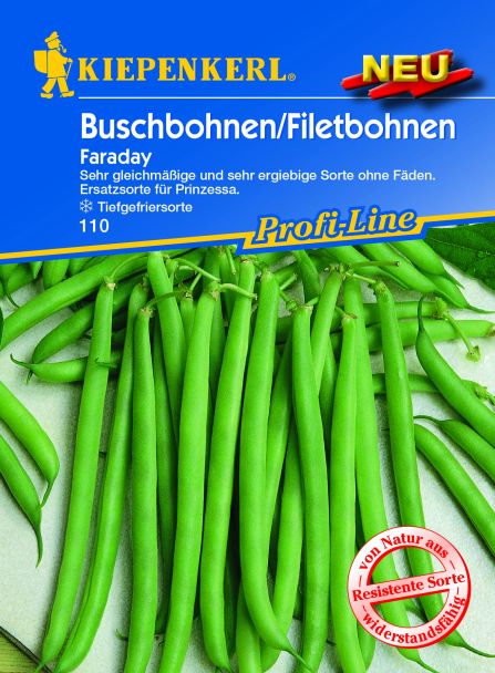 Buschbohne Farady