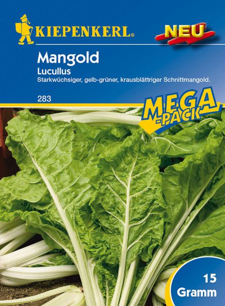 Mangold 'Lukullus'