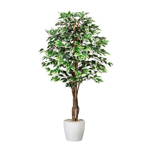Kunstpflanze Ficus Benjamini mit Naturstamm grün-weiß (ca. 150 cm)