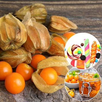 BonBon - Multi-Andenbeere