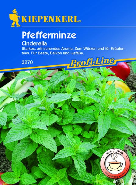 Pfefferminze Cinderella Sonstige Krautersamen Krautersamen