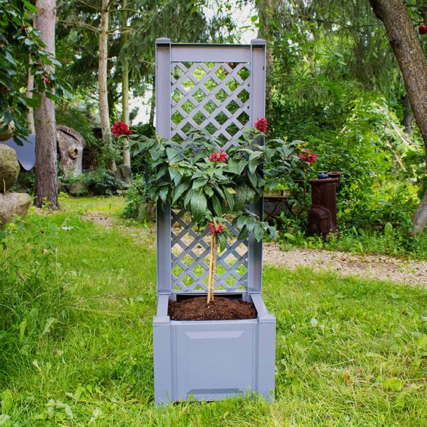 Pflanzkasten mit Spalier, 43 cm in Grau