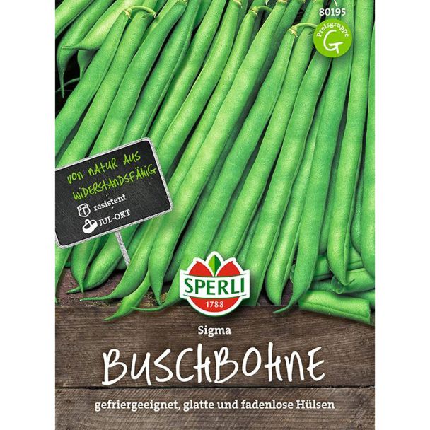 Buschbohne 'Sigma'