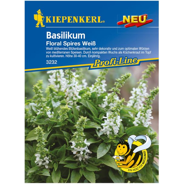Blütenbasilikum 'Floral Spires Weiß'